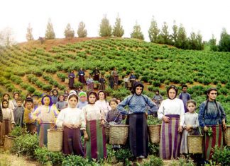 Кавказский альбом Прокудина-Горского