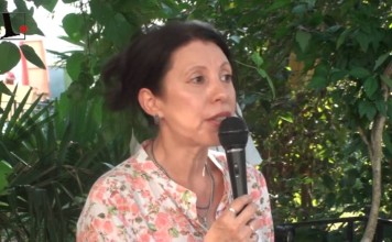 Хоста изучает опыт протеста