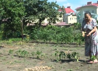 В Нижней Имеретинке пьют море