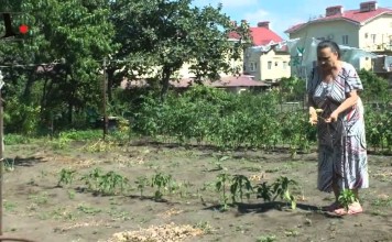 В Нижней Имеретинке пьют море