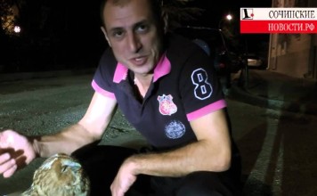 Спасение неясыти