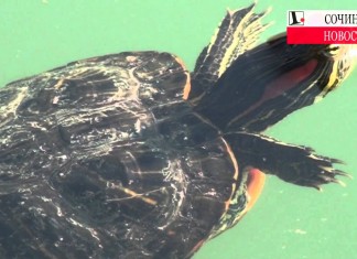 Парк в промзоне