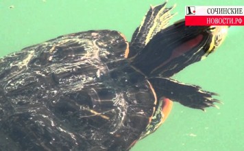 Парк в промзоне