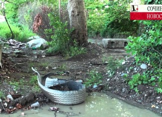 «Южные культуры»: формула бездействия 2