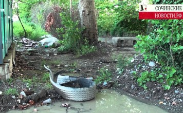 «Южные культуры»: формула бездействия 2