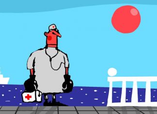 Сочи: бои без правил