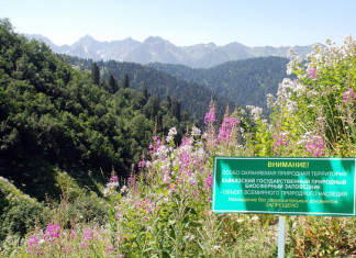 Верхняя Мзымта в опасности