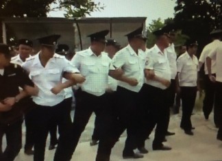 Свалка в Черешне, дело Грицевич и свобода слова