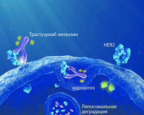 Рак между наукой и чудом