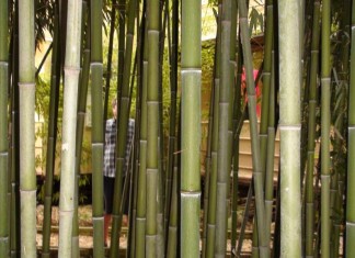 Геттоизация Сочи Фото автора.