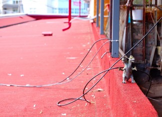 Опасная красная крыша