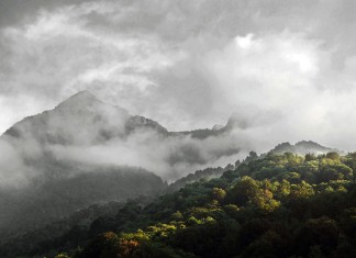 Памела Андерсон, отвлекающая от Верхней Мзымты