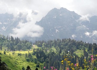 Экологи заявили о недопустимости освоения Cочинского нацпарка Турьи Горы. Фото Александра Бескова.