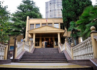 Дело Вронского. Главные тезисы