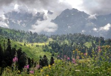 Разлом Кавказа по линии Мзымты