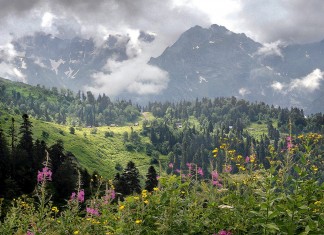 Разлом Кавказа по линии Мзымты
