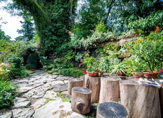 Симбиозы Венчагова