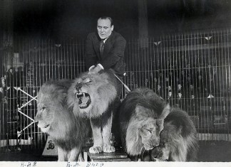 Парад-алле! (продолжение)