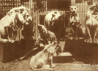 Парад-алле!