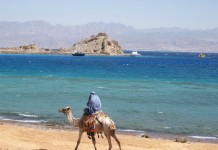 Из Сочи в Шарм-эль-Шейх. И обратно