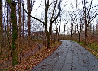 Сестра депутата Ремезкова планирует застроить еще один участок краснодарского Парка Победы