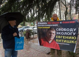 В деле Витишко замешаны силы влиятельнее Путина