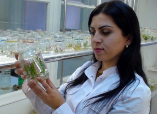 Охота на мзымтеллу