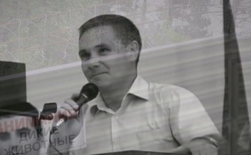 Евгений Витишко. Хроника освобождения