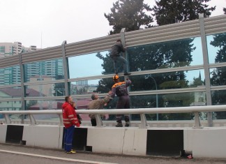 В Сочи мужчину отговорили от прыжка с эстакады