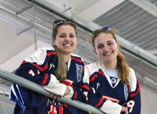 Лёд, пальмы и ночной хоккей