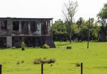 Сектор Гала