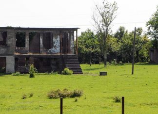 Сектор Гала