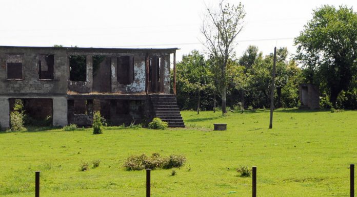 Сектор Гала