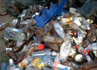 Минприроды предлагает запретить пластиковую посуду и упаковку в Сочи