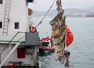 Следователи исключили версию теракта при крушении Ту-154 Поисковая операция на месте крушения ТУ-154. Фото: пресс-служба МЧС России.