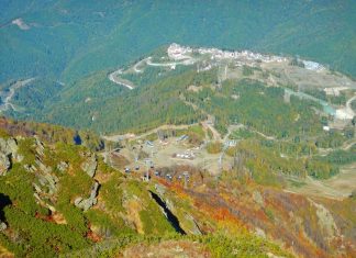 Кавказский заповедник может попасть в список наследия под угрозой