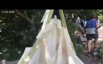 Медведь напал на палаточный лагерь