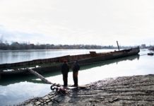 Как лягушки в болоте